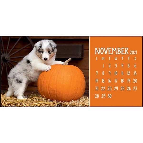 Puppies & Kittens Desk 2022 Calendar - Image 14
