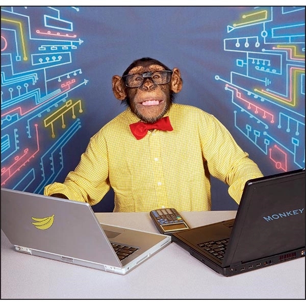 Monkey Business 2022 Calendar - Image 10