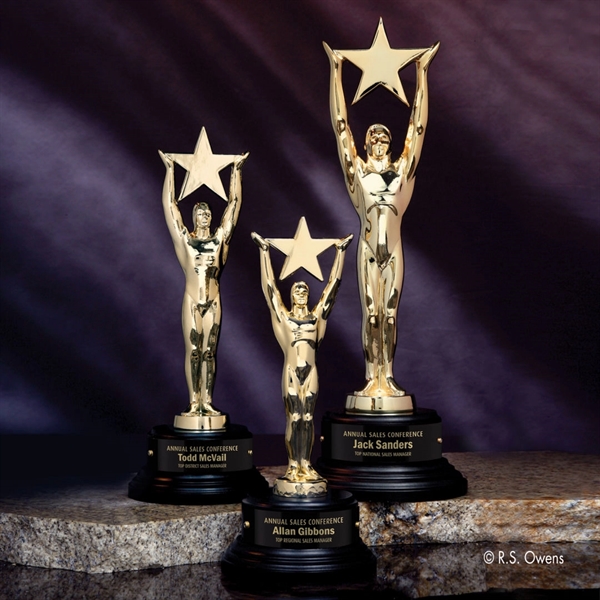 Gold Star Achievement Award - Image 1