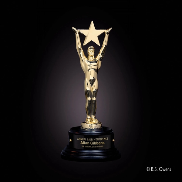 Gold Star Achievement Award - Image 2