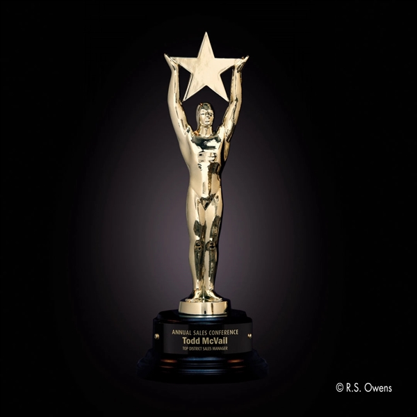 Gold Star Achievement Award - Image 3