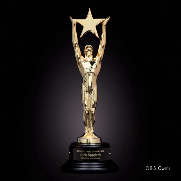 Gold Star Achievement Award - Image 4