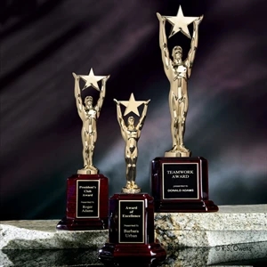 Star Achievement Award on Rosewood