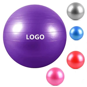 55cm(600g) Yoga Ball  Gym Ball