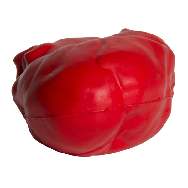 Squeezies® Heart (Anatomical) Stress Reliever - Image 3