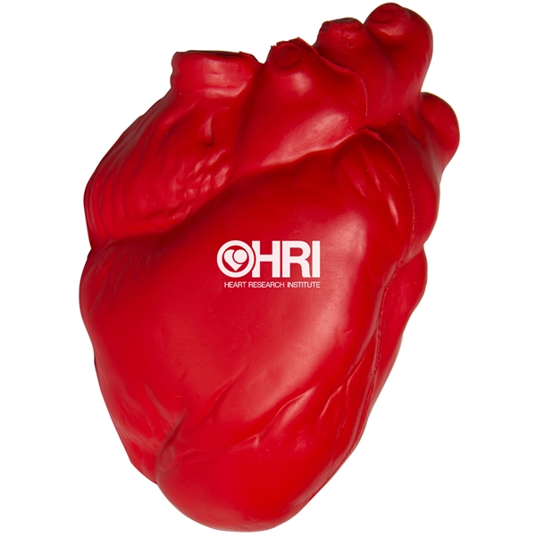 Squeezies® Heart (Anatomical) Stress Reliever - Image 4