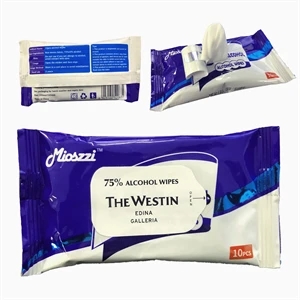 10 ct Hand Wipes