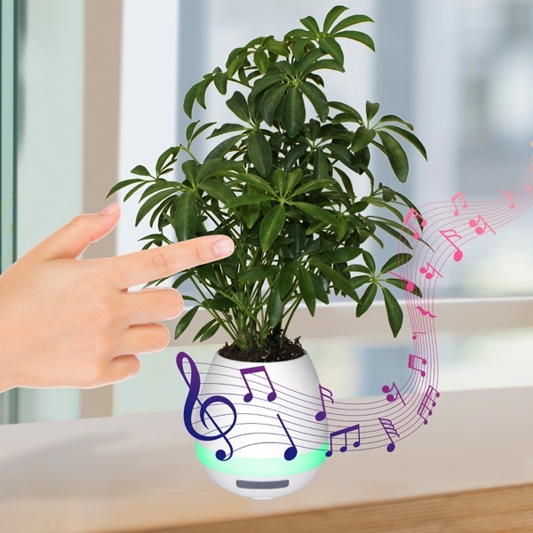 Musical Planter & Wireless Speaker - Image 4