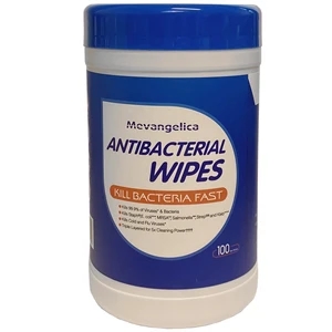 Antibacterial Wipes - 100 CT