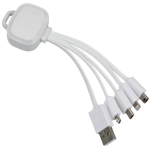 5 in 1 Multi Charge Cable - Image 4