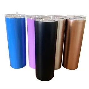 20oz Insulated Stainless Pint