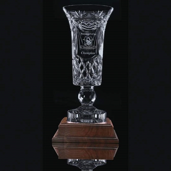 Dornoch Cup Award - Image 2
