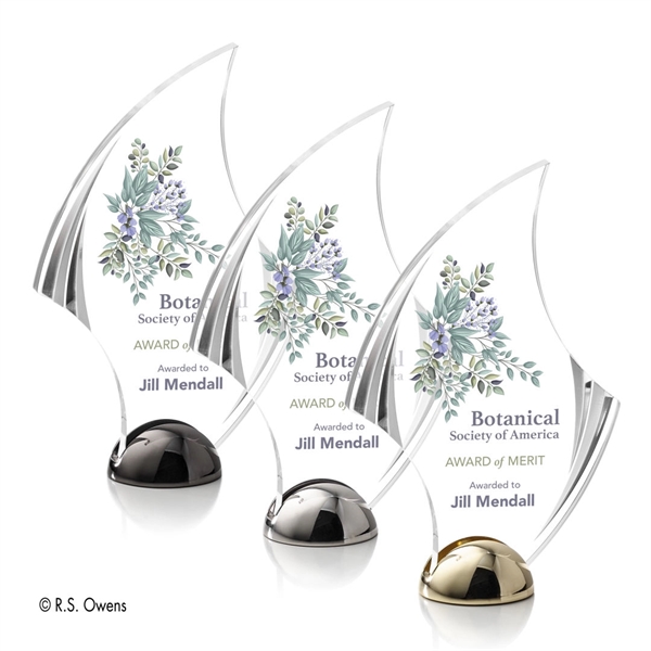 Flourish Hemisphere Award - VividPrint™ - Image 1