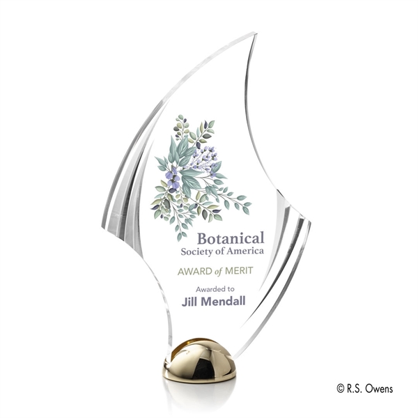 Flourish Hemisphere Award - VividPrint™ - Image 6