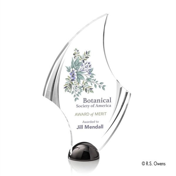 Flourish Hemisphere Award - VividPrint™ - Image 7