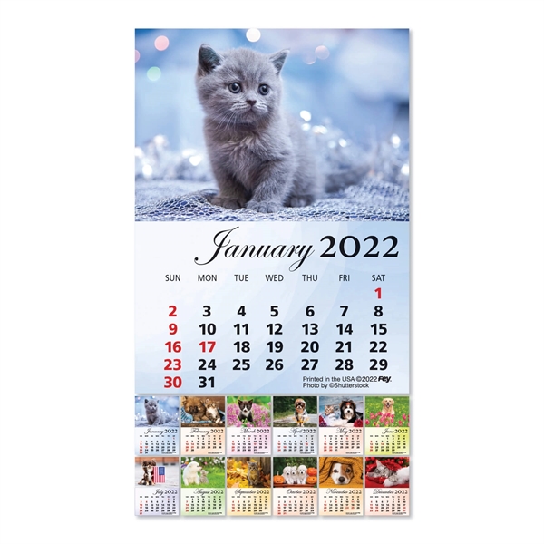 Pig Shaped Peel-N-Stick® Calendar - Image 37