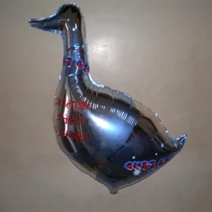 Bird Balloon