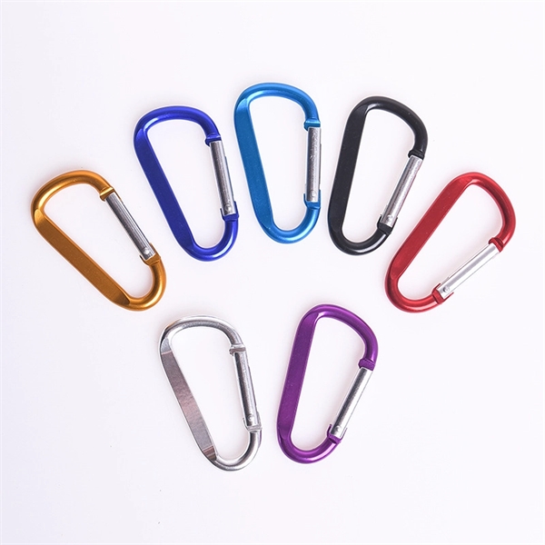 Carabiner with Keychain