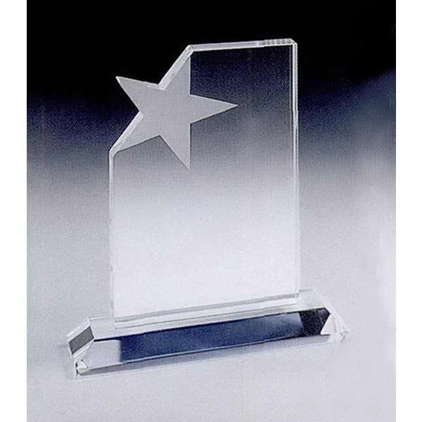 Star Panel Award - Image 2