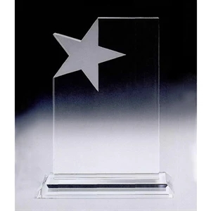 Star Panel Award