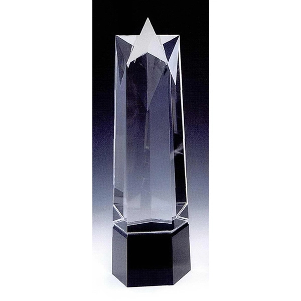 Award - Image 3