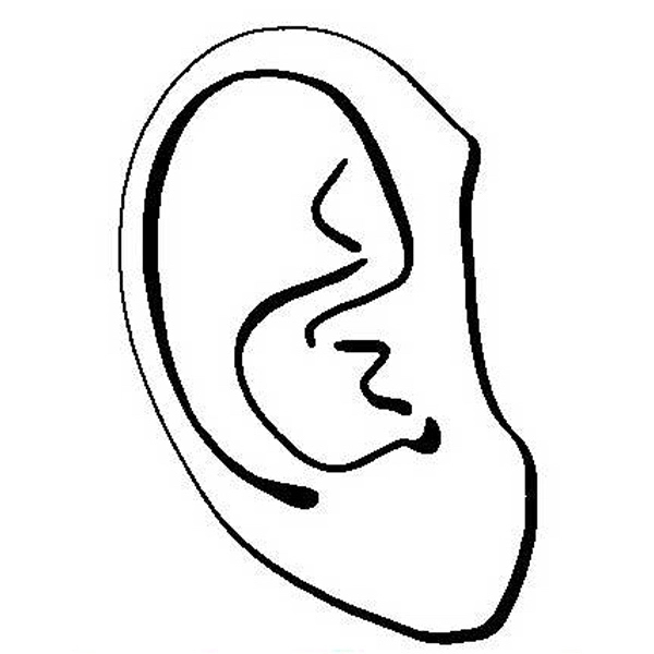 Ear Stock Shape Magnet