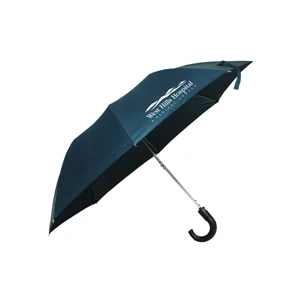 The 41 Auto Open Folding Umbrella with Hook Handle - Brilliant Promos - Be  Brilliant!
