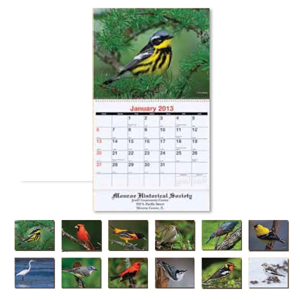2014 Bird Watching Monthly Wall Calendar