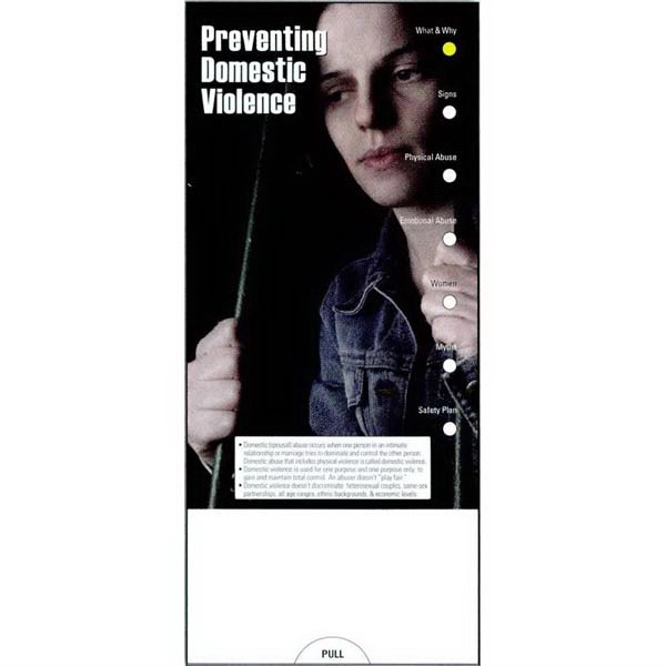 Preventing Domestic Violence Slide Chart - Image 2