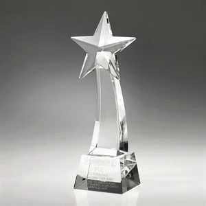Award-Rising Star 10"