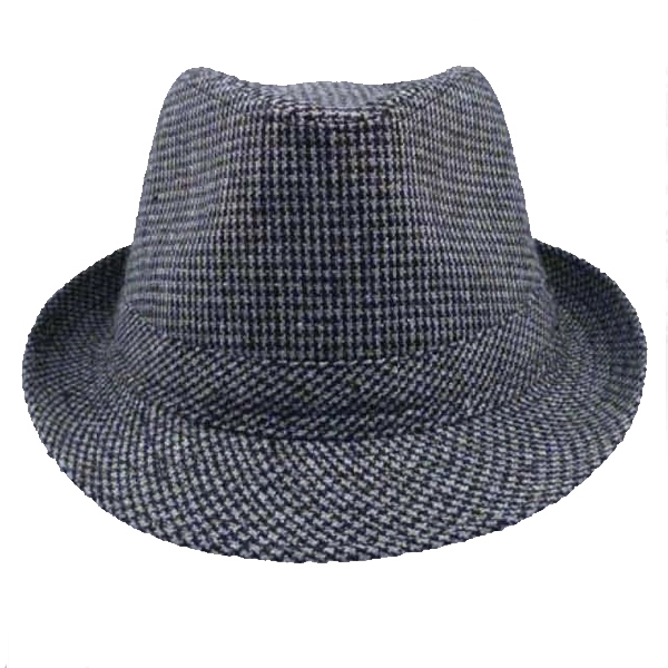 Siegel Fedora Hat - Image 1